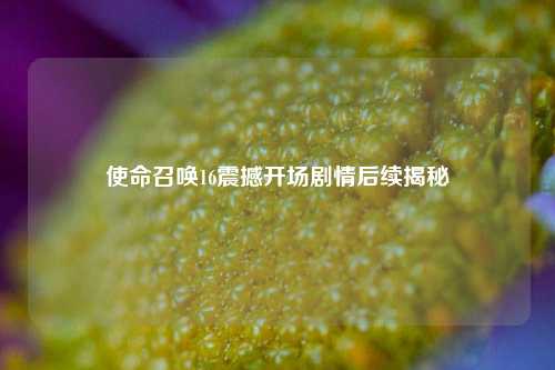 使命召唤16震撼开场剧情后续揭秘