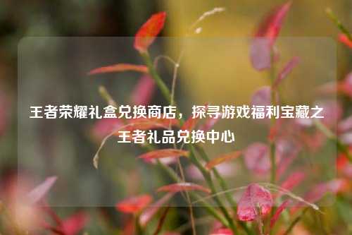 王者荣耀礼盒兑换商店,探寻游戏福利宝藏之王者礼品兑换中心