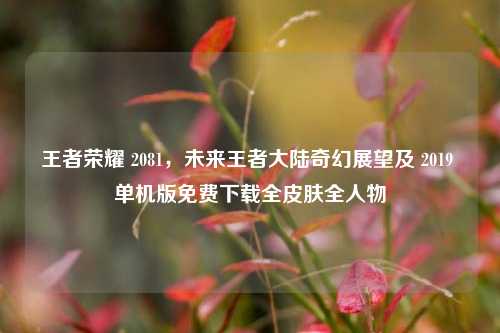 王者荣耀 2081，未来王者大陆奇幻展望及 2019 单机版免费下载全皮肤全人物
