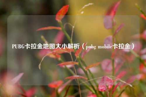 PUBG卡拉金地图大小解析(pubg mobile卡拉金)