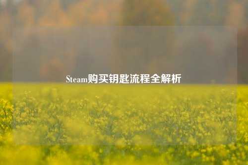 Steam购买钥匙流程全解析