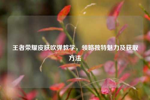 王者荣耀皮肤吹弹教学，领略独特魅力及获取方法