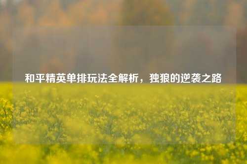 和平精英单排玩法全解析,独狼的逆袭之路