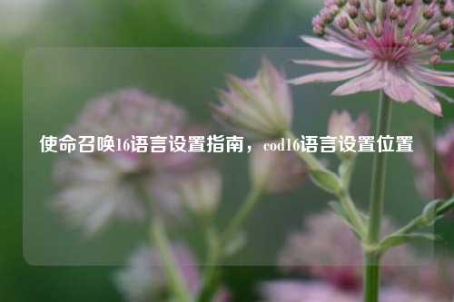 使命召唤16语言设置指南,cod16语言设置位置