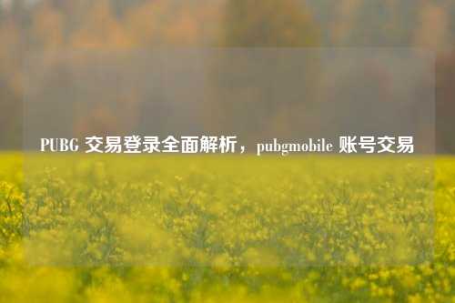 PUBG 交易登录全面解析,pubgmobile 账号交易