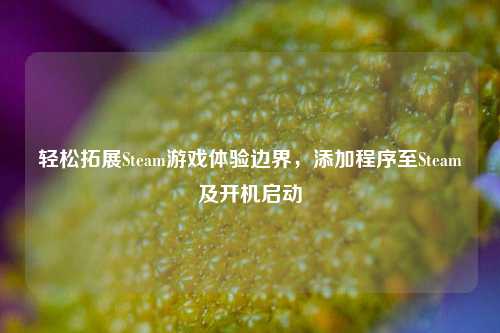 轻松拓展Steam游戏体验边界,添加程序至Steam及开机启动