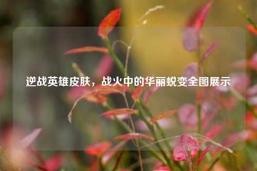 逆战英雄皮肤,战火中的华丽蜕变全图展示