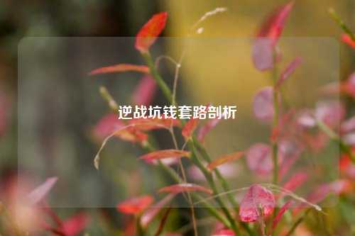 逆战坑钱套路剖析