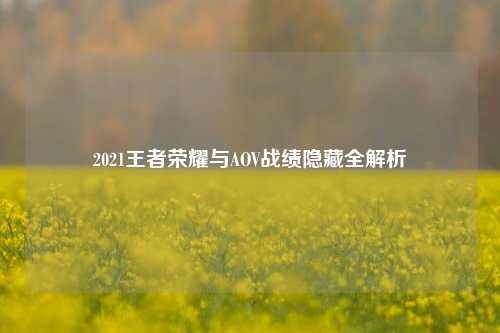 2021王者荣耀与AOV战绩隐藏全解析