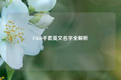 CSGO手套英文名字全解析