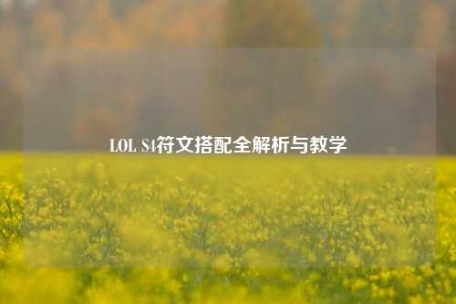 LOL S4符文搭配全解析与教学