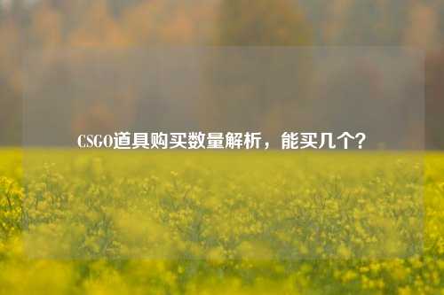 CSGO道具购买数量解析,能买几个?