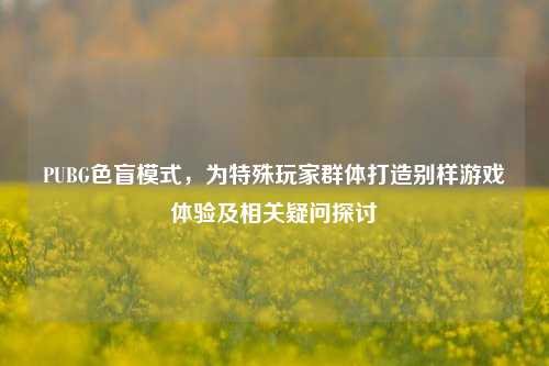 PUBG色盲模式,为特殊玩家群体打造别样游戏体验及相关疑问探讨