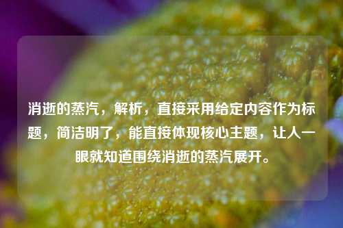 消逝的蒸汽,解析,直接采用给定内容作为标题,简洁明了,能直接体现核心主题,让人一眼就知道围绕消逝的蒸汽展开。