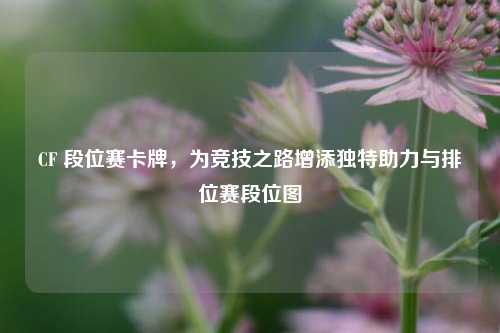 CF 段位赛卡牌,为竞技之路增添独特助力与排位赛段位图