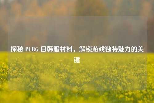 探秘 PUBG 日韩服材料，解锁游戏独特魅力的关键