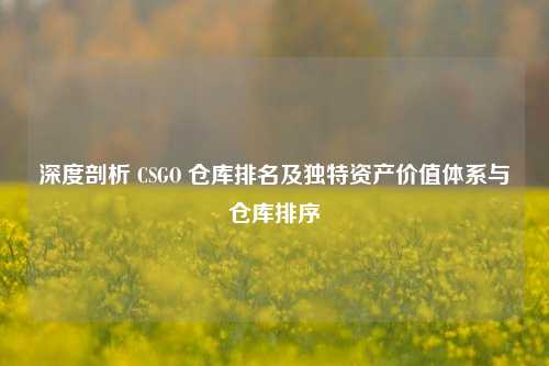 深度剖析 CSGO 仓库排名及独特资产价值体系与仓库排序