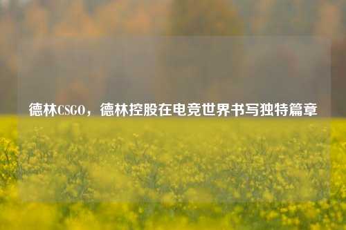 德林CSGO，德林控股在电竞世界书写独特篇章