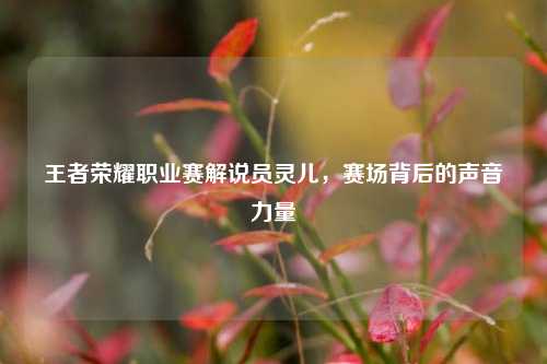 王者荣耀职业赛解说员灵儿，赛场背后的声音力量