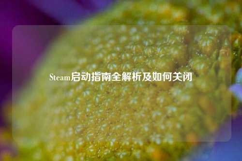 Steam启动指南全解析及如何关闭