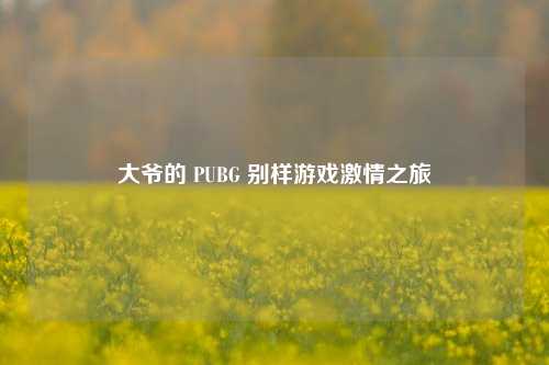 大爷的 PUBG 别样游戏激情之旅