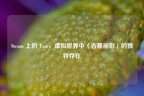 Steam 上的 Tom,虚拟世界中〈古墓丽影〉的独特存在
