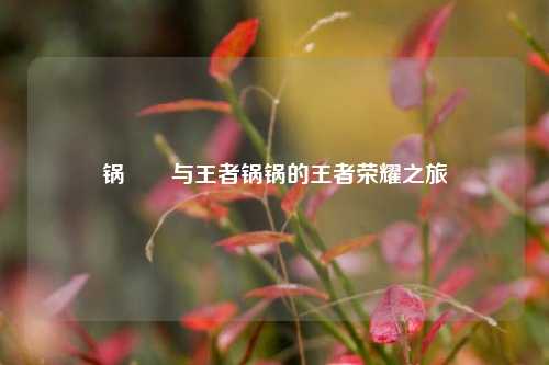 锅妺妺与王者锅锅的王者荣耀之旅