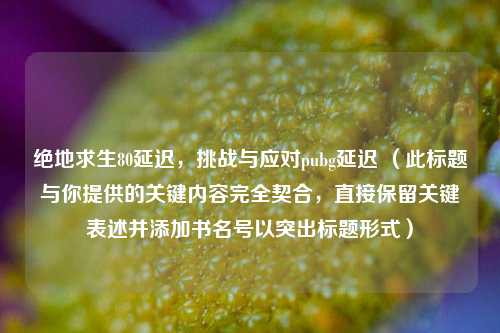 绝地求生80延迟,挑战与应对pubg延迟 (此标题与你提供的关键内容完全契合,直接保留关键表述并添加书名号以突出标题形式)