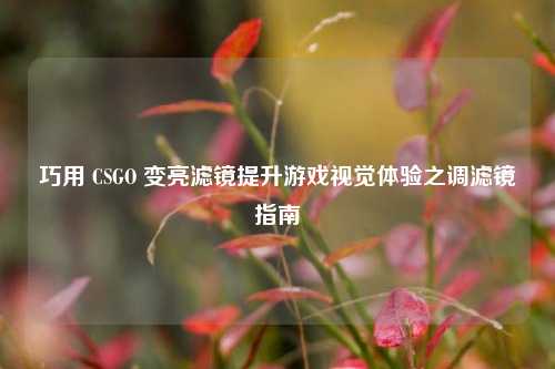 巧用 CSGO 变亮滤镜提升游戏视觉体验之调滤镜指南