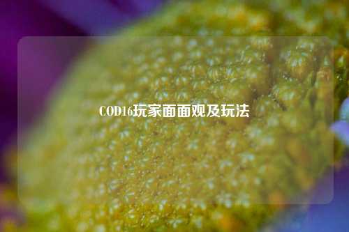 COD16玩家面面观及玩法