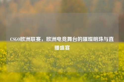 CSGO欧洲联赛,欧洲电竞舞台的璀璨明珠与直播盛宴