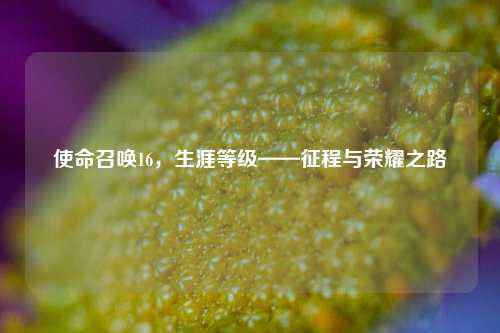 使命召唤16，生涯等级——征程与荣耀之路