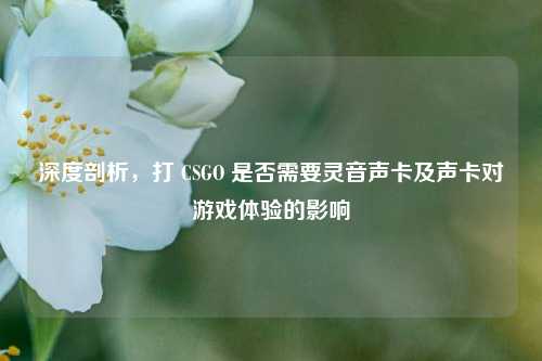 深度剖析,打 CSGO 是否需要灵音声卡及声卡对游戏体验的影响