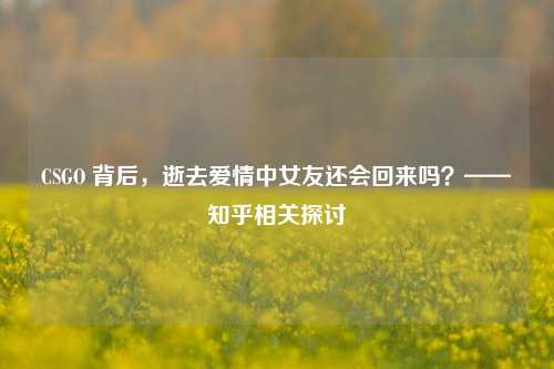CSGO 背后，逝去爱情中女友还会回来吗？——知乎相关探讨