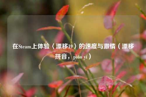 在Steam上体验〈漂移19〉的速度与激情(漂移拼音,piāo yí)