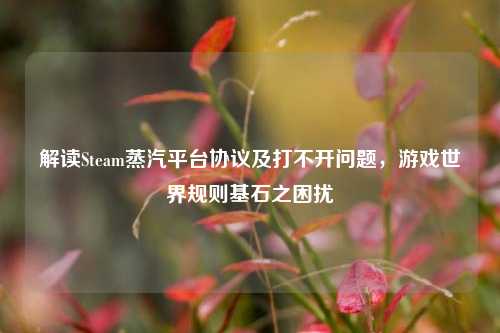解读Steam蒸汽平台协议及打不开问题,游戏世界规则基石之困扰