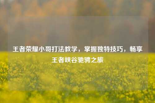 王者荣耀小哥打法教学，掌握独特技巧，畅享王者峡谷驰骋之旅