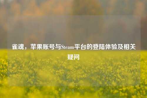 雀魂，苹果账号与Steam平台的登陆体验及相关疑问