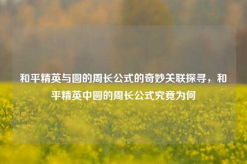 和平精英与圆的周长公式的奇妙关联探寻，和平精英中圆的周长公式究竟为何
