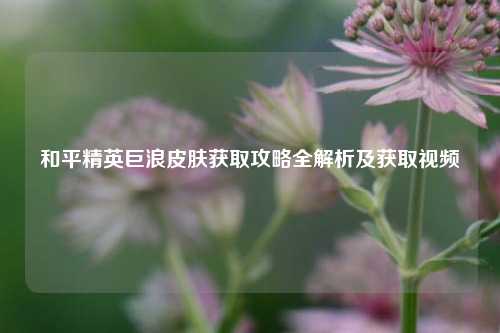 和平精英巨浪皮肤获取攻略全解析及获取视频