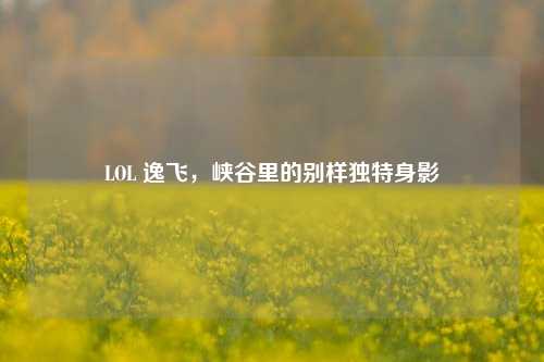 LOL 逸飞，峡谷里的别样独特身影