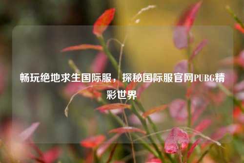 畅玩绝地求生国际服，探秘国际服官网PUBG精彩世界