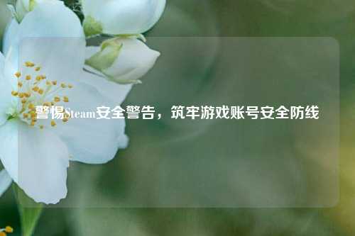 警惕Steam安全警告,筑牢游戏账号安全防线