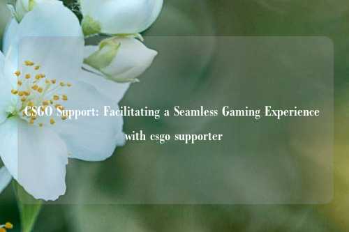 CSGO Support: Facilitating a Seamless Gaming Experience with csgo supporter
