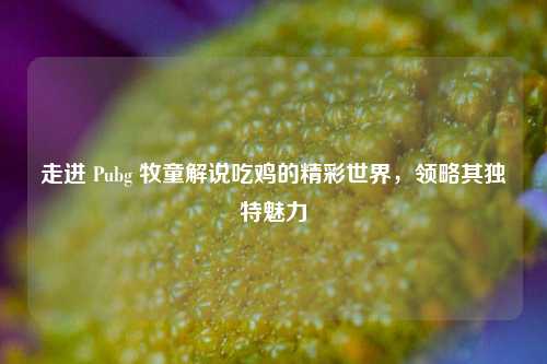 走进 Pubg 牧童解说吃鸡的精彩世界，领略其独特魅力