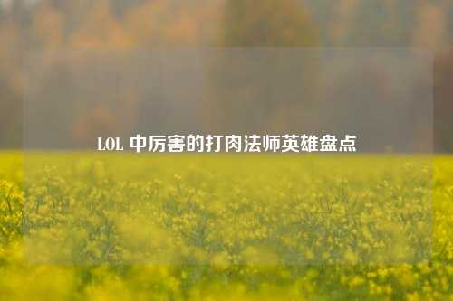 LOL 中厉害的打肉法师英雄盘点