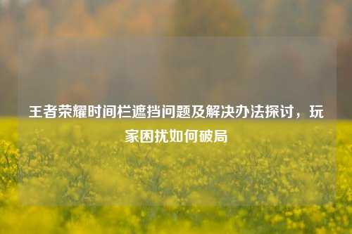 王者荣耀时间栏遮挡问题及解决办法探讨,玩家困扰如何破局