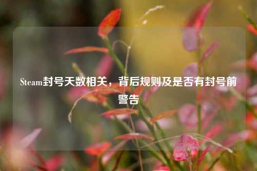 Steam封号天数相关，背后规则及是否有封号前警告