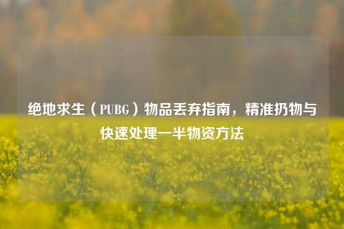 绝地求生（PUBG）物品丢弃指南，精准扔物与快速处理一半物资方法