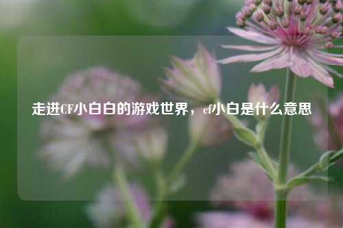 走进CF小白白的游戏世界,cf小白是什么意思